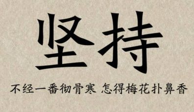 網(wǎng)站SEO優(yōu)化為什么要寫文章